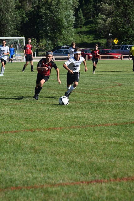 将资金投入 将资金投入