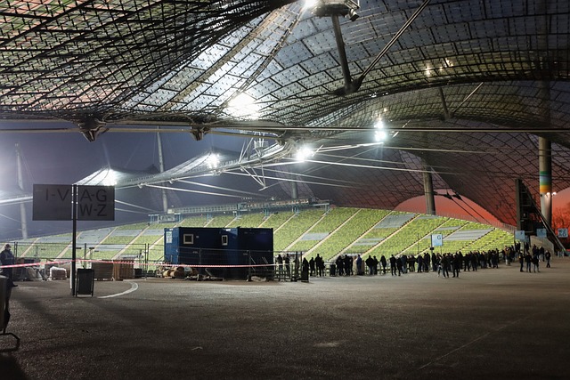 茨上的决策 茨上的决策