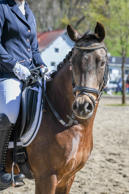 力的进一步 力的进一步