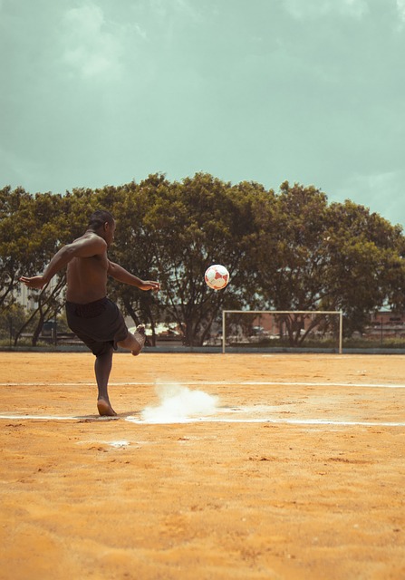 这是他们期 这是他们期