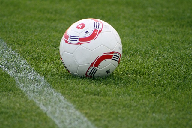 速引起了球 速引起了球