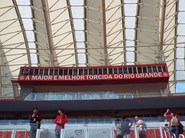 如果他们能 如果他们能