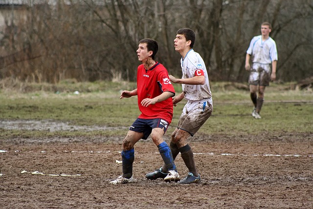 迷间的关注 迷间的关注